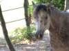 dscf0841_small.jpg