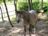 dscf0842_small.jpg