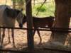 dscf0843_small.jpg