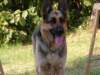 dscf0847_small.jpg