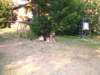 dscf0849_small.jpg