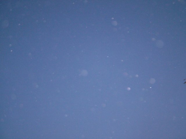 dscf0855.jpg