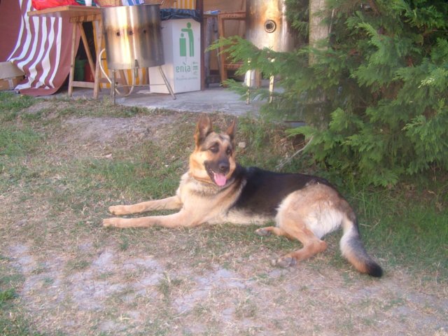 dscf0914.jpg