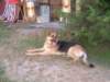 dscf0914_small.jpg