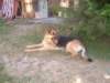 dscf0915_small.jpg