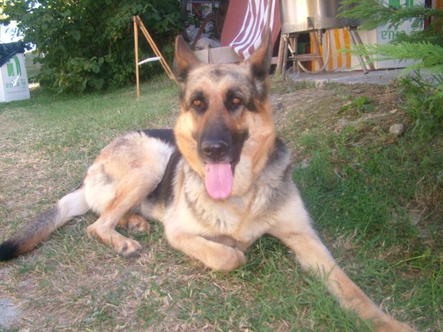 dscf0918.jpg