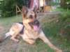dscf0919_small.jpg