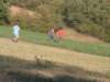 dscf1002_small.jpg