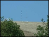 DSCF0035.JPG