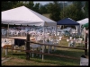 DSCF7783.JPG
