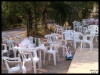 DSCF7784.JPG