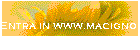 Entra in www.macigno.it