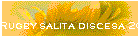 Rugby salita discesa 2009