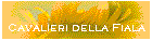 Cavalieri della Fiala