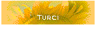 Turci