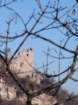 castellocanossa2_small.jpg