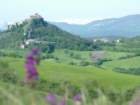 castellorossenaprimavera3_small.jpg