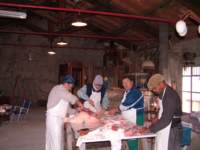 dscf3113_small.jpg