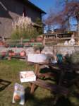 dscf3158_small.jpg