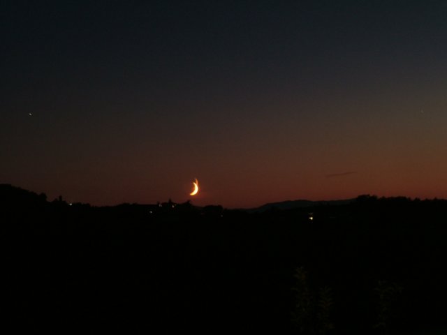 luna.jpg