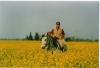 Scan0002.tif