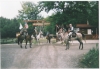 Scan0003.tif