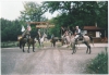 Scan0005.tif