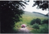 Scan0006.tif