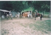 Scan0008.tif