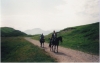 Scan0012.tif