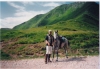 Scan0013.tif