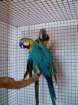 dscf7530_small.jpg