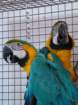 dscf7531_small.jpg