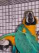 dscf7532_small.jpg