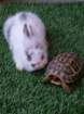 dscf7536_small.jpg
