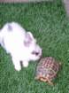 dscf7537_small.jpg