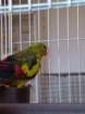 dscf7538_small.jpg