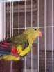 dscf7539_small.jpg