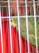 dscf7542_small.jpg