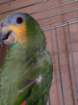 dscf7543_small.jpg