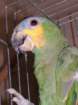dscf7544_small.jpg