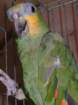 dscf7545_small.jpg