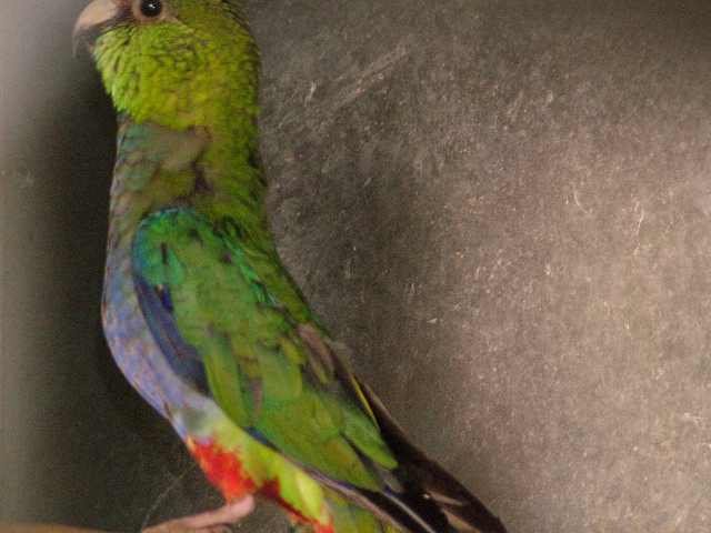 dscf7547.jpg