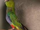 dscf7547_small.jpg