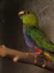 dscf7548_small.jpg