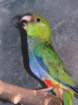 dscf7549_small.jpg