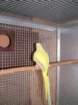dscf7550_small.jpg