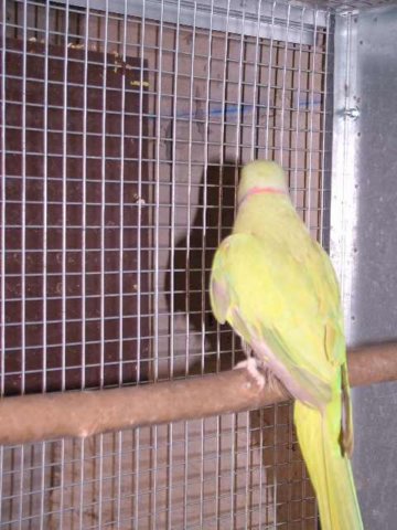 dscf7551.jpg