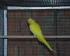 p5050068_small.jpg