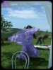 DSCF0041.JPG